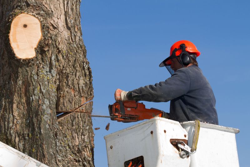 Tree Service