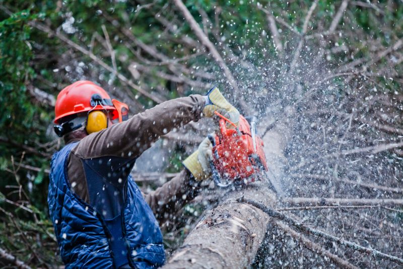 Tree Service