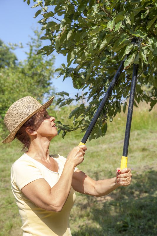 Tree Shearing